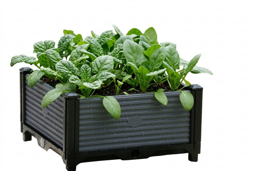 Grey raised plant box filled with growing herbs and plants.