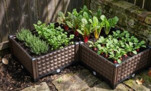 Planter box Plantbox